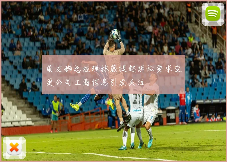 前龙狮总经理林葳提起诉讼要求变更公司工商信息引发关注